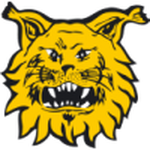 Ilves Femenino