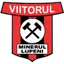 Minerul Lupeni