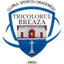 Tricolorul Breaza