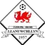 Llanuwchllyn