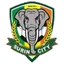 Surin City
