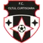 Oltul Curtişoara