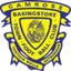 Basingstoke Town